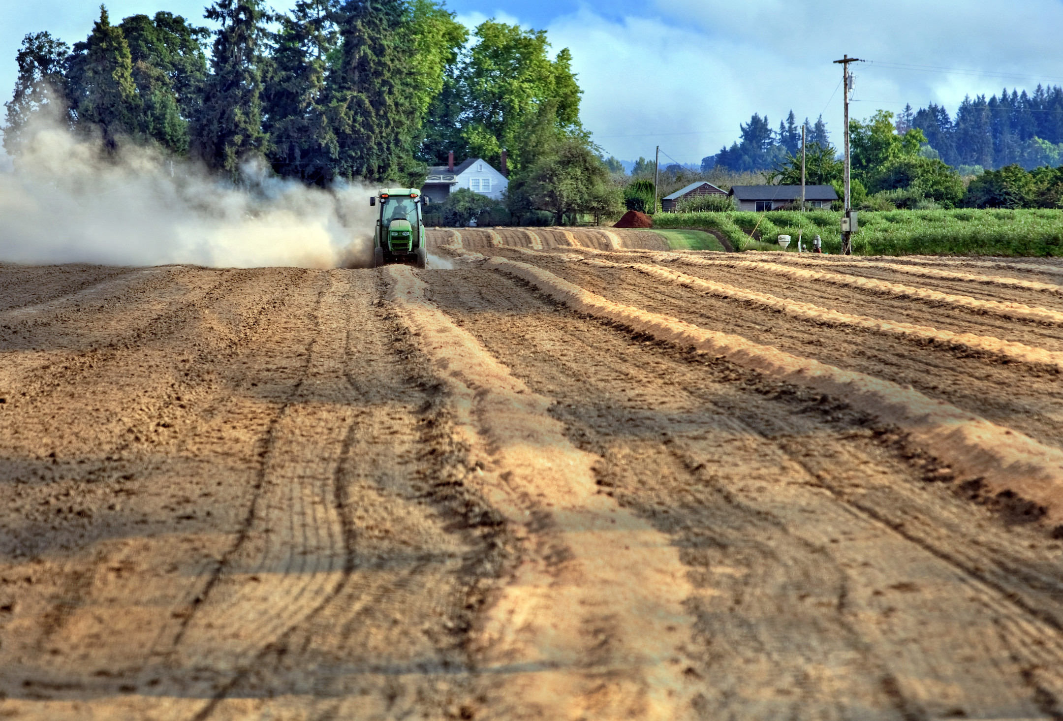 What kind of soil should I use and what's the difference between soil and  dirt? - DC Hauling