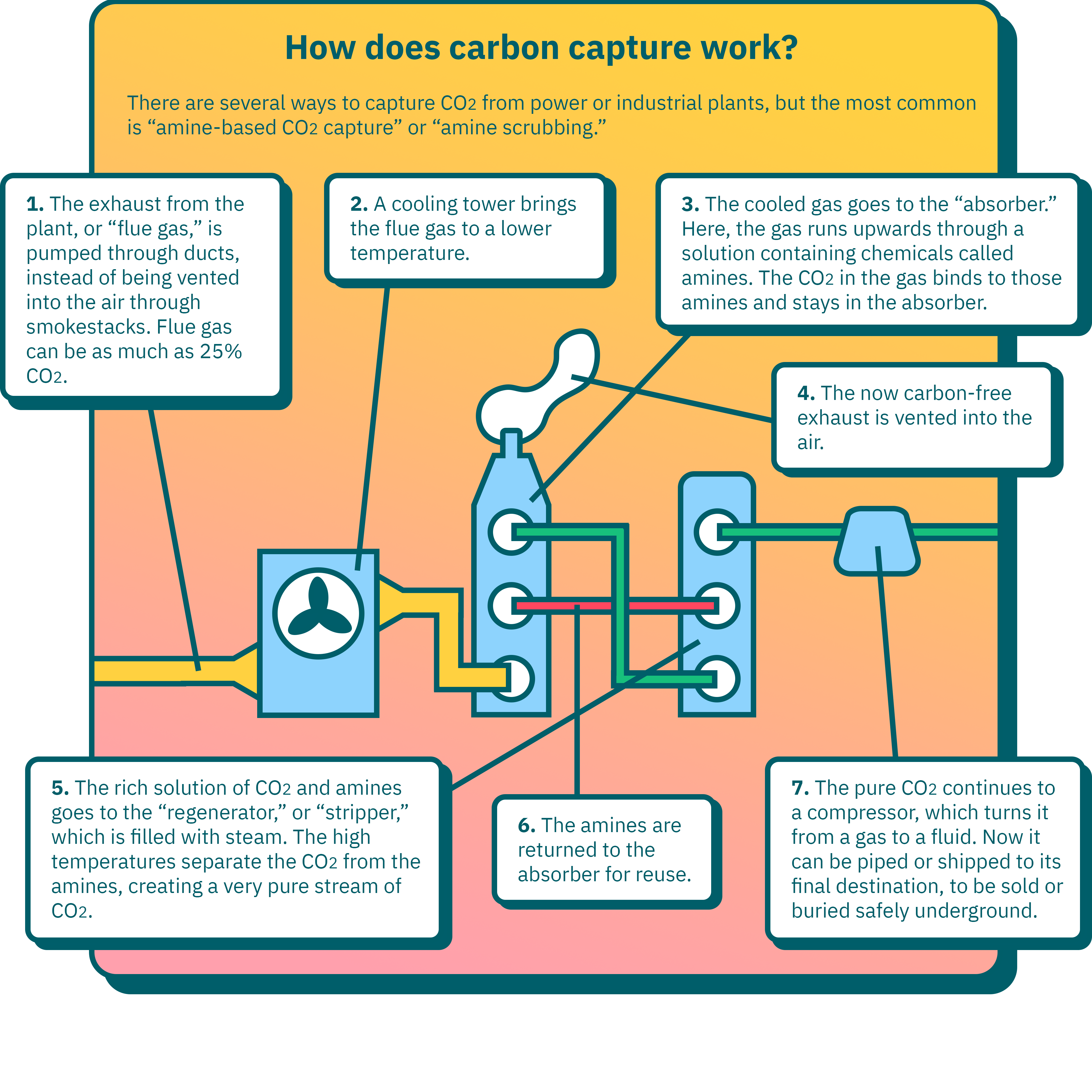 Infographic: How does carbon capture work? There are several ways to capture CO2 from power or industrial plants, but the most common is “amine-based CO2 capture” or “amine scrubbing.” 1. The exhaust from the plant, or “flue gas,” is pumped through ducts, instead of being vented into the air through smokestacks. Flue gas can be as much as 25% CO2. 2. A cooling tower brings the flue gas to a lower temperature. 3. The cooled gas goes to the “absorber.” Here, the gas runs upwards through a solution containing chemicals called amines. The CO2 in the gas binds to those amines and stays in the absorber. 4. The now carbon-free exhaust is vented into the air. 5. The rich solution of CO2 and amines goes to the “regenerator,” or “stripper,” which is filled with steam. The high temperatures separate the CO2 from the amines, creating a very pure stream of CO2. 6. The amines are returned to the absorber for reuse. 7. The pure CO2 continues to a compressor, which turns it from a gas to a fluid. Now it can be piped or shipped to its final destination, to be sold or buried safely underground.