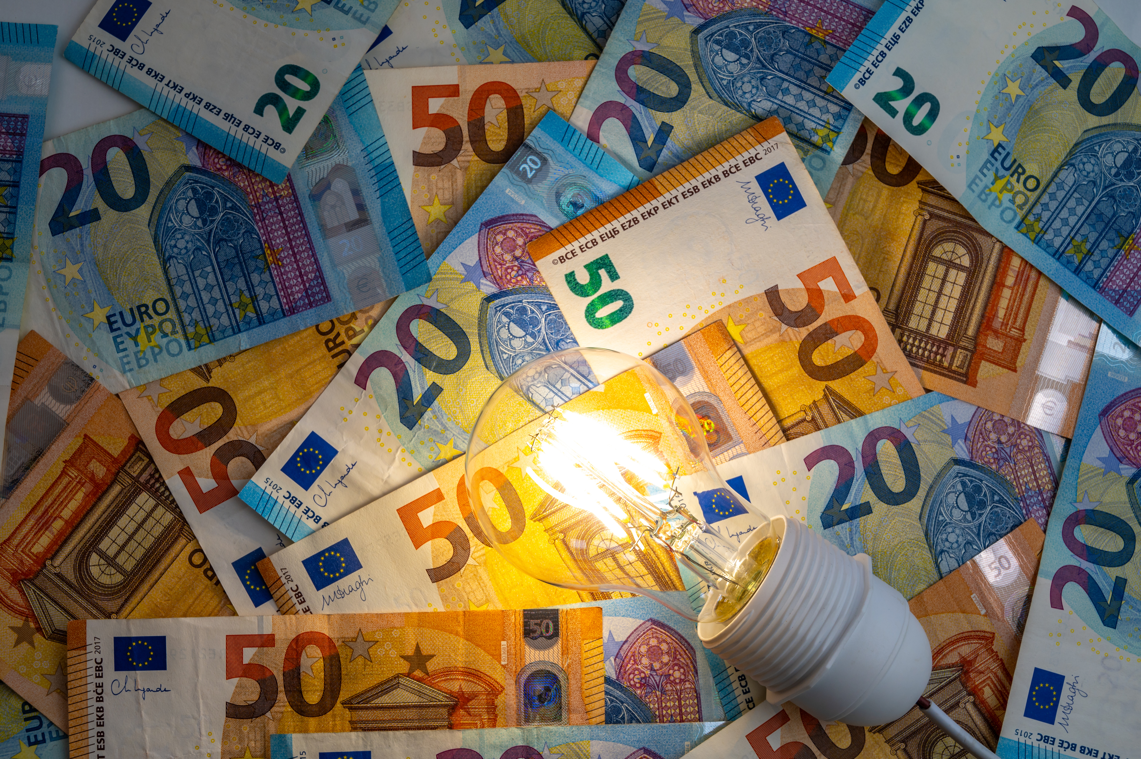 Household-Level Responses to the European Energy Crisis