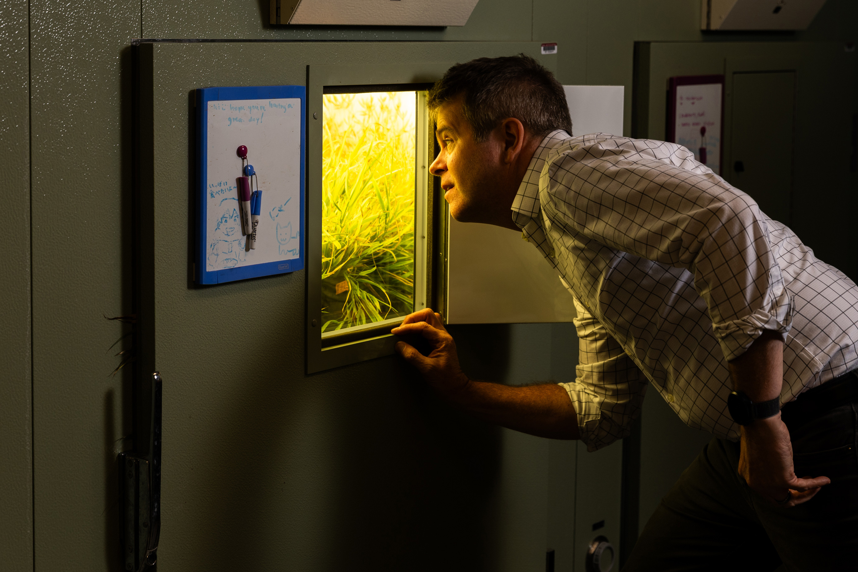 Primer Climate Exploring how plants thrive in a changing environment | MIT Climate Portal