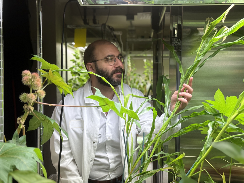 Engineering next-generation fertilizers