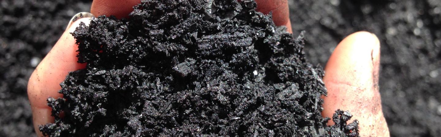 biochar