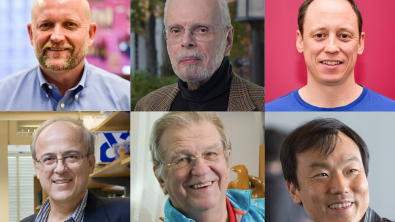 MIT faculty who received 2021 J-WAFS Solutions grants include (top row, left to right) Daniel Frey, Leon Glicksman, Eric Verploegen; (bottom row, left to right) Greg Stephanopoulos, Anthony J. Sinskey, and Jongyoon Han.