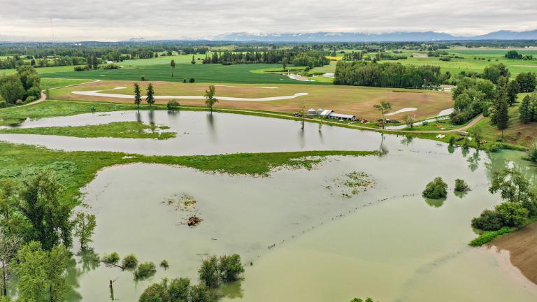 Saturated farmland off of Steel Bridge Road in Kalispell after flooding along the Flathead River on June 15, 2022.