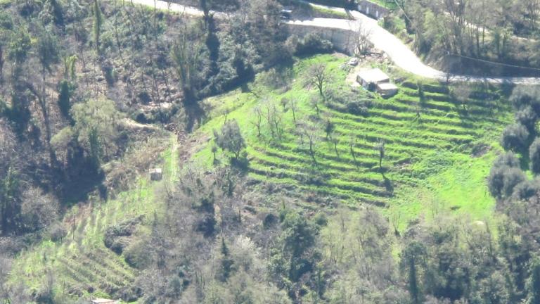 Abandoned croplands represent an opportunity for carbon sequestration, but more research is needed to identify the most promising areas.