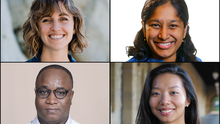 Clockwise from top left: Sara Beery, Priya Donti, Sherrie Wang, and Ericmoore Jossou are using advanced computational methods and tools to help find solutions for a range of climate and environmental issues. The new faculty members will join the MIT community in the coming year as part of an ongoing commitment by the MIT Schwarzman College of Computing to hire 50 new faculty (25 shared with other academic departments and 25 in computer science and artificial intelligence and decision-making).