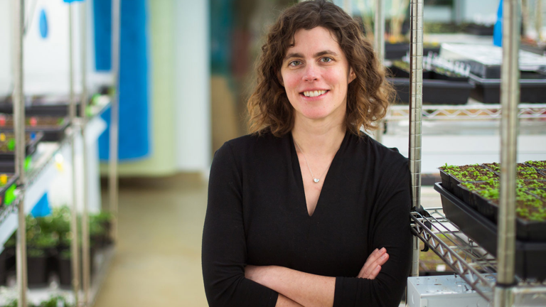 Mary Gehring, associate professor of biology and a member of the Whitehead Institute for Biomedical Research