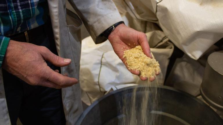 University of Maine engineer Ian Toal holds a handful of sawdust from a nearby mill at a research center in Old Town. This and other "waste wood" products are abundant in heavily forested Maine and are eyed as a basis for renewable heating fuels.