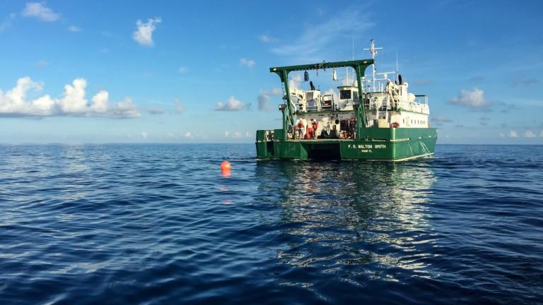 Researchers from NOAA and University of Miami use the F.G. Walton Smith, a 96-foot vessel, for quarterly voyages to take current readings in the Florida Straits.