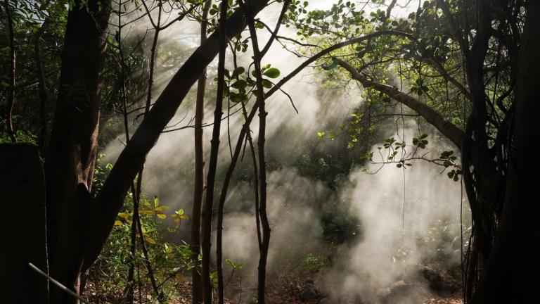 Rincon de la Vieja, an active volcano in Costa Rica, experiences elevated levels of carbon dioxide due to its volcanic activity, where CO2 naturally seeps from cracks in the volcano's foundation, creating a unique environment for studying the effects of how plants might respond to rising global CO2 levels.