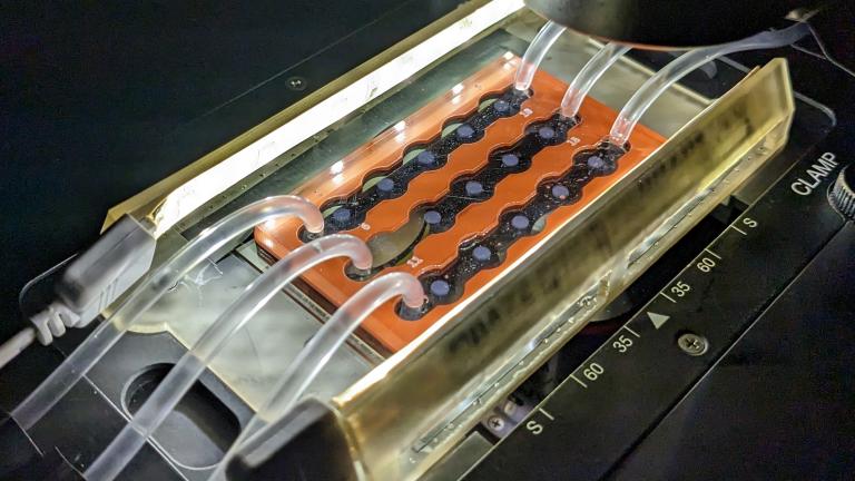 Researchers created a microfluidic system to study sinking marine snow, pictured here mounted on a microscope. 
