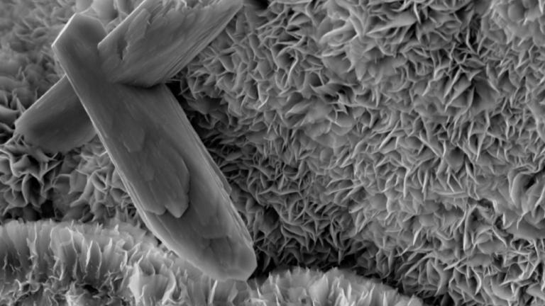 MIT geologists have found that tectonic activity gives rise to smectite, a type of clay that can sequester a surprising amount of organic carbon within its microscopic folds (shown here), over millions of years.