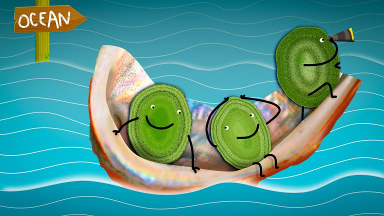 New research suggests the Prochlorococcus microbe’s ancient coastal ancestors colonized the ocean by rafting out on chitin particles.