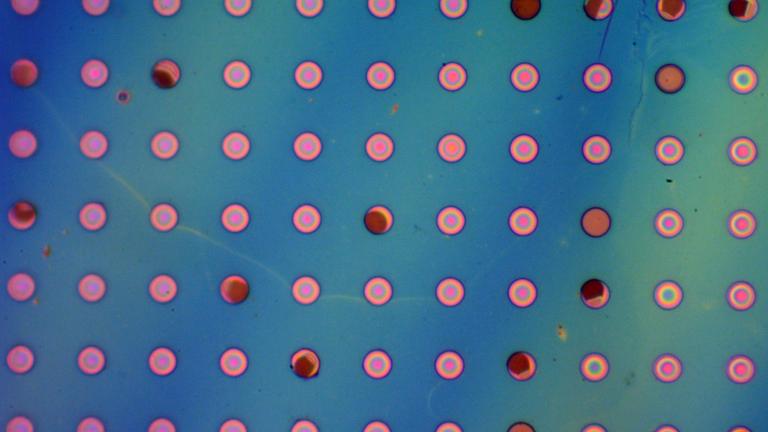 MIT researchers tested the gas permeability of their new polymer films by suspending them over microwells to form bubbles. Some bubbles from 2021 experiments are still inflated. This optical micrograph shows how the films form very colorful spots when suspended over microwells.