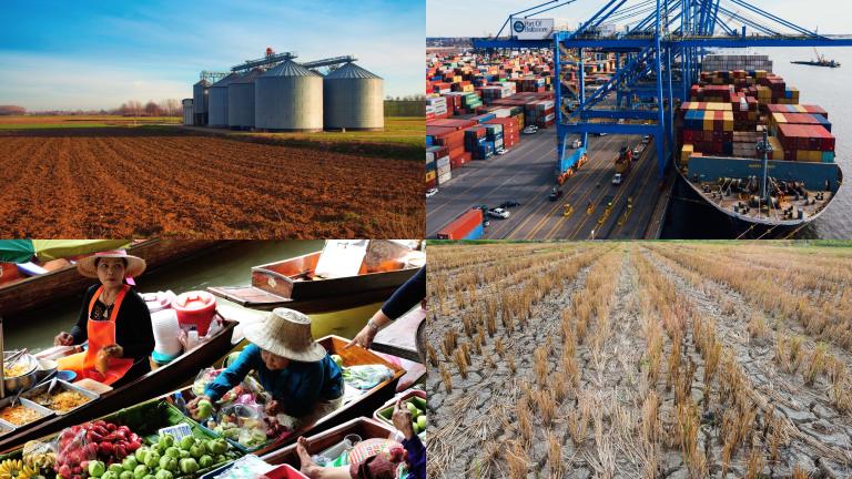 The Jameel Index for Food Trade and Vulnerability will measure countries’ dependence on global food trade and imports and how regional-scale threats like climate change might affect the ability to trade food goods across diverse geographic regions.