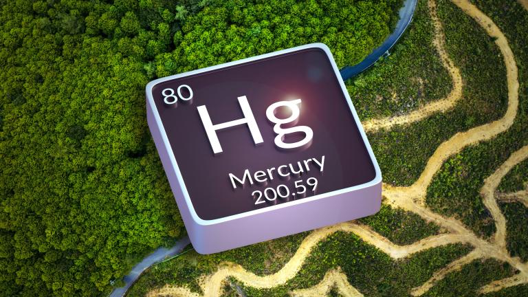 Researchers studied the impact of deforestation on the global mercury cycle and found that deforestation accounts for about 10 percent of global human-made mercury emissions.