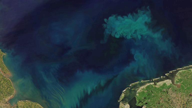 To track the changes in ocean color, scientists analyzed measurements of ocean color taken by the Moderate Resolution Imaging Spectroradiometer (MODIS) aboard the Aqua satellite, which has been monitoring ocean color for 21 years.