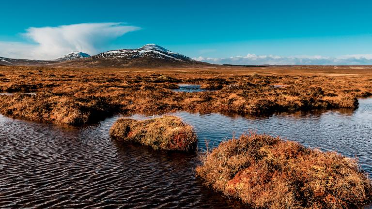 Researchers from MIT and Singapore have developed a mathematical analysis of how peat formations build and develop.