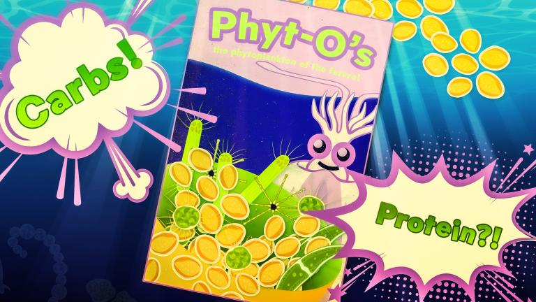 As sea surface temperatures rise over the next century, phytoplankton in polar regions will adapt to be less rich in proteins, heavier in carbohydrates, and lower in nutrients overall. “We’re moving in the poles toward a sort of fast-food ocean,” says MIT postdoc Shlomit Sharoni.