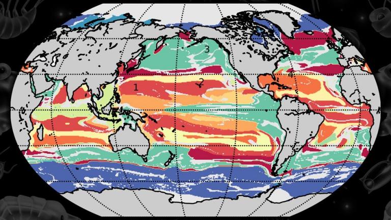 A machine-learning technique developed at MIT combs through global ocean data to find commonalities between marine locations, based on interactions between phytoplankton species. Using this approach, researchers have determined that the ocean can be split into over 100 types of “provinces,” and 12 “megaprovinces,” that are distinct in their ecological makeup.