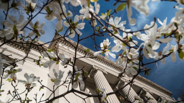 Members of the MIT engineering faculty receive many awards in recognition of their scholarship, service, and overall excellence.