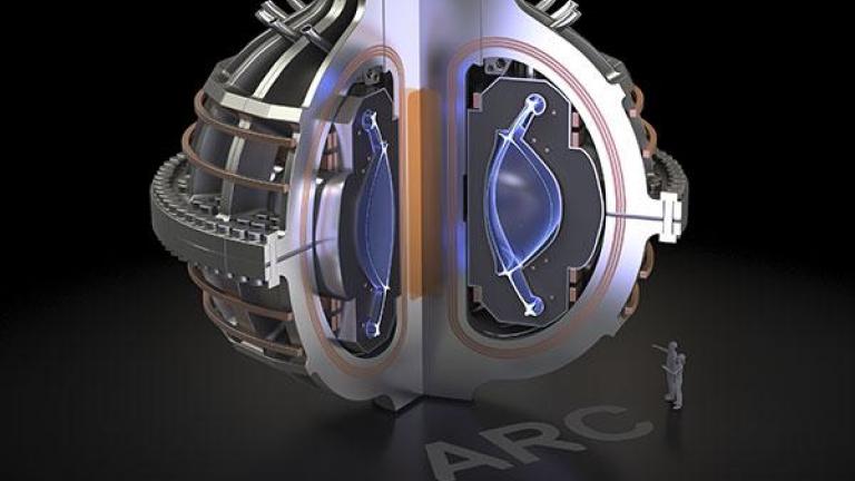 illustration of tokamak with interior cut-away