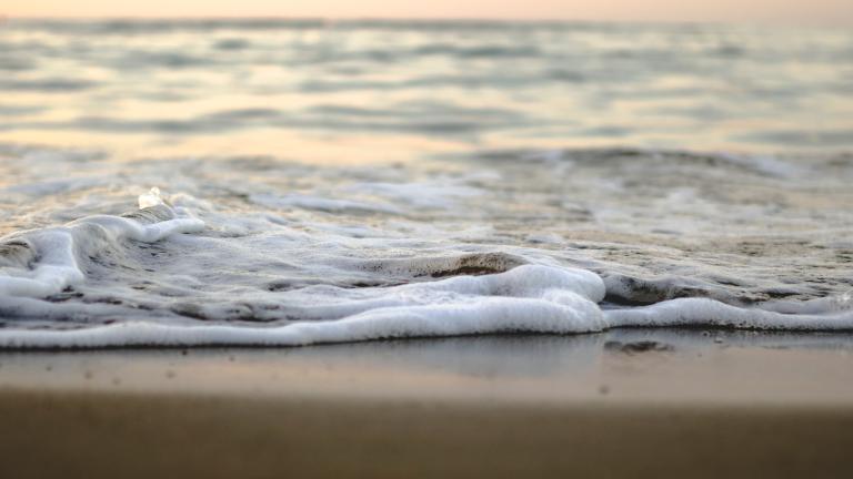 Climate-driven sea level rise is making freshwater ecosystems saltier, and MIT researchers have uncovered how that shift could reshape the microbial communities that sustain rivers and estuaries.