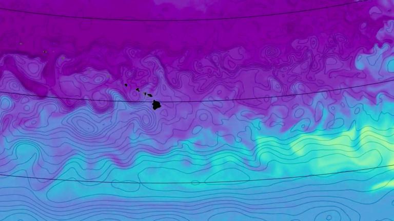 This video still of the North Pacific Ocean shows phosphate nutrient concentrations at 500 meters below the ocean surface. The swirls represent small eddies transporting phosphate from the nutrient-rich equator (lighter colors), northward toward the nutrient-depleted subtropics (darker colors).