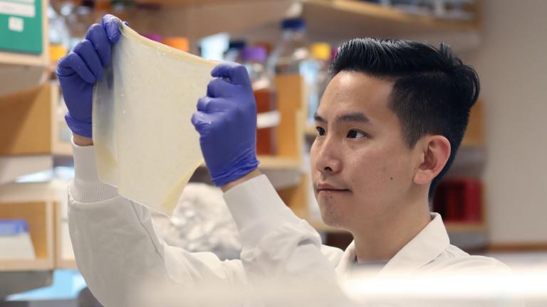 Biological Engineering graduate student Zijay Tang demonstrates the durability of Syn-SCOBY, a kombucha-inspired living membrane. 