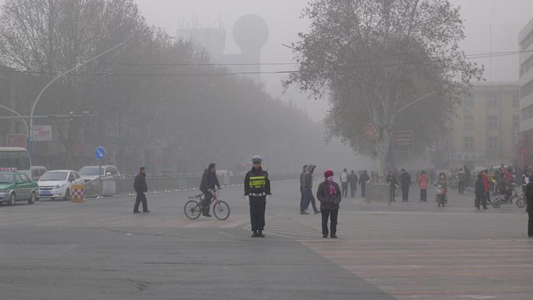A new tool developed by MIT researchers can be used to estimate the likely air-quality and health outcomes of a wide range of climate and air-quality policies at the regional, sectoral, and fuel-based level.