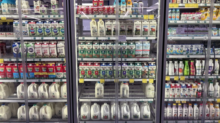 Rows of milk jugs in fridges in a grocery store.