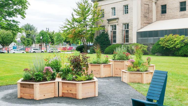 The Hive Garden, a first-of-its-kind pollinator garden at MIT, recently opened on Saxon Lawn.