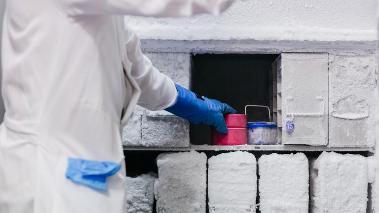 "My hope is that competitions like this inspire MIT and the entire world to take a more serious look about how we deal with the resources available to us: from electricity to recyclable waste,” says MIT Technical Associate Sebastian Smick.