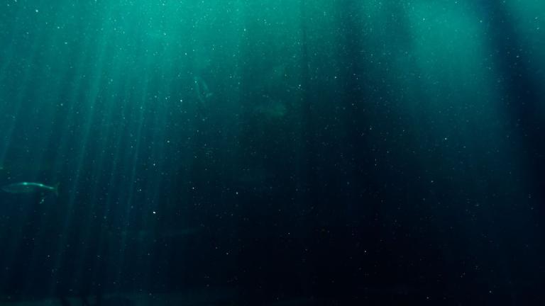 An MIT study finds the tiny ocean microbe Prochlorococcus leads two connected lives: drifting alone in sunlit waters, or clinging to particles in sticky communities called biofilms. The discovery suggests the attached cells release more carbon and may help carry it toward the deep sea.