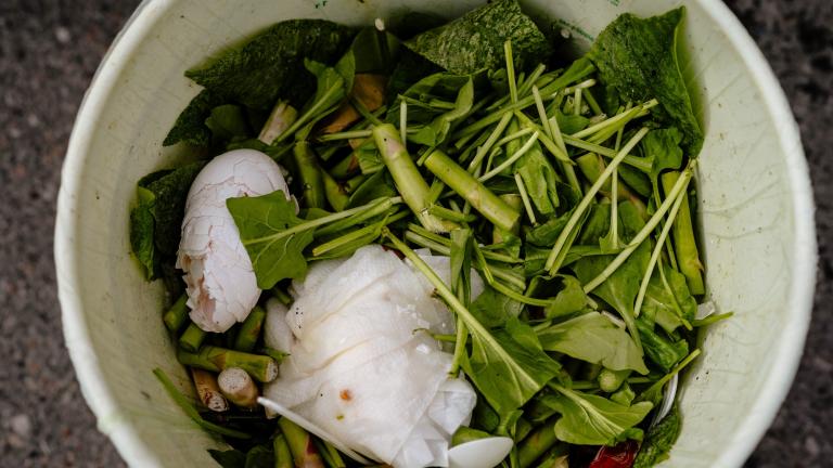 Eggshells, asparagus, and other food scraps in a bucket.