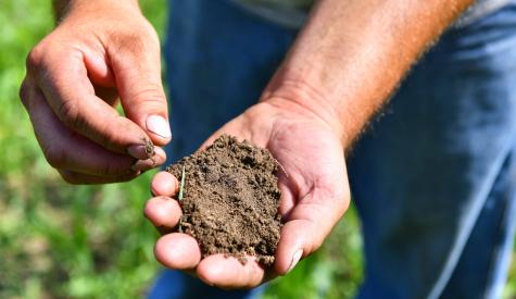 Farmer Jason Lorenz holds a handful of soil from a field he farms Aug. 31 near Little Falls.