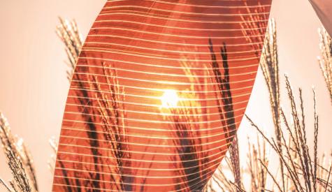 Solar panel made of perovskite being held towards the sun