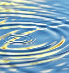 Circular ripples in a pond