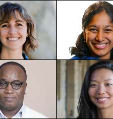Clockwise from top left: Sara Beery, Priya Donti, Sherrie Wang, and Ericmoore Jossou are using advanced computational methods and tools to help find solutions for a range of climate and environmental issues. The new faculty members will join the MIT community in the coming year as part of an ongoing commitment by the MIT Schwarzman College of Computing to hire 50 new faculty (25 shared with other academic departments and 25 in computer science and artificial intelligence and decision-making). 