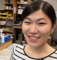 Graduate student Linda Zhong works in Professor Anthony Sinskey’s biology lab on an answer for plastic pollution. 