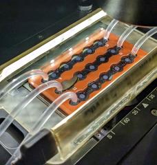 Researchers created a microfluidic system to study sinking marine snow, pictured here mounted on a microscope. 