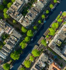 Research reveals a strong disparity in the amount of heat-mitigating tree cover within nine cities across the globe, with wealthy neighborhoods benefitting from shade the most. Amsterdam, pictured here, has a distinct pattern of less shade in lower-income areas.
