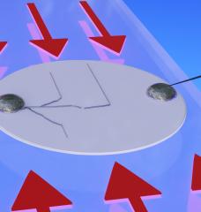 Researchers solved a problem facing solid-state lithium batteries, which can be shorted out by metal filaments called dendrites that cross the gap between metal electrodes. They found that applying a compression force across a solid electrolyte material (gray disk) caused the dendrite (dark line at left) to stop moving from one electrode toward the other (the round metallic patches at each side) and instead veer harmlessly sideways, toward the direction of the force.
