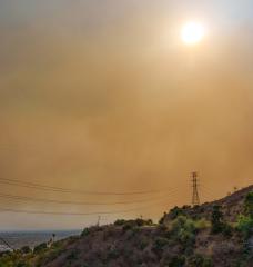 A modeling study shows that global warming will likely make it harder to reduce ground-level ozone, a respiratory irritant that is a key component of smog, by cutting nitrogen oxide emissions.