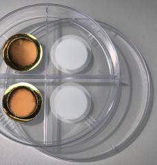 On the right is a porous anodized aluminum oxide membrane. The left side shows the same membrane after coating it with a thin layer of gold, making the membrane conductive for electrochemical gas gating.