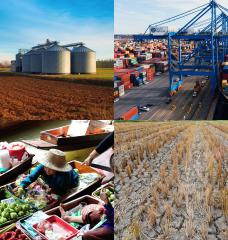 The Jameel Index for Food Trade and Vulnerability will measure countries’ dependence on global food trade and imports and how regional-scale threats like climate change might affect the ability to trade food goods across diverse geographic regions.