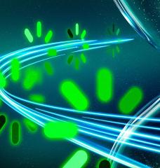 A new method could increase the training efficiency of large language models: By leveraging idle computing time, it can double the speed of model training while preserving accuracy.