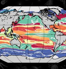 A machine-learning technique developed at MIT combs through global ocean data to find commonalities between marine locations, based on interactions between phytoplankton species. Using this approach, researchers have determined that the ocean can be split into over 100 types of “provinces,” and 12 “megaprovinces,” that are distinct in their ecological makeup. 