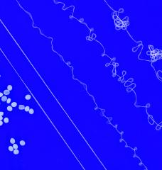 In the new process, resin pellets are melted and then extruded to make stretchy, hair-thin fibers that can be recycled. “You just melt it in a barrel with a heater, and then you extrude and spin it into fibers,” SeongHyeon Kim says. “It’s like a spaghetti machine.”
