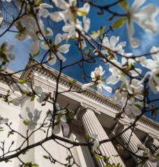 Members of the MIT engineering faculty receive many awards in recognition of their scholarship, service, and overall excellence. 